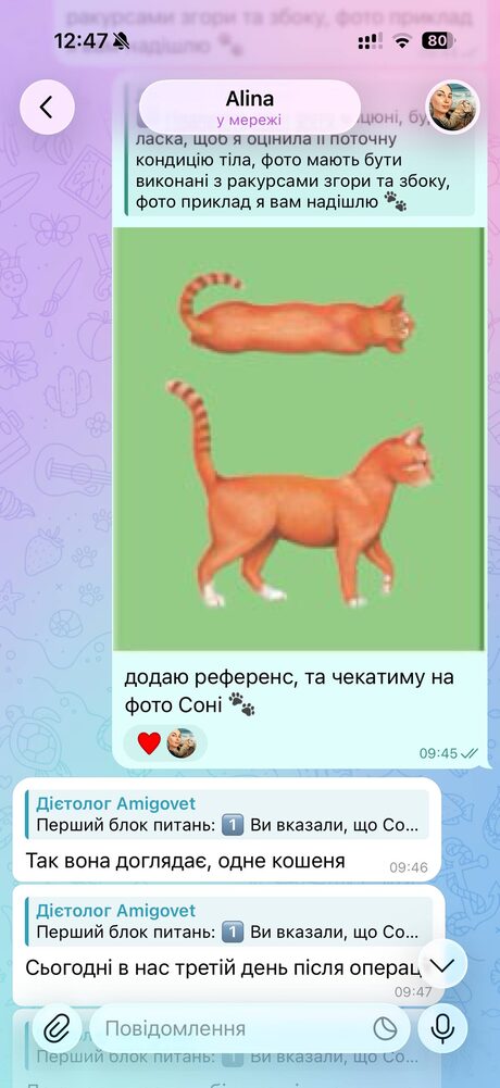 Скрін переписки: оцінка кондиції тіла за фото