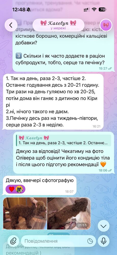 Скрін переписки: розбір раціону собаки