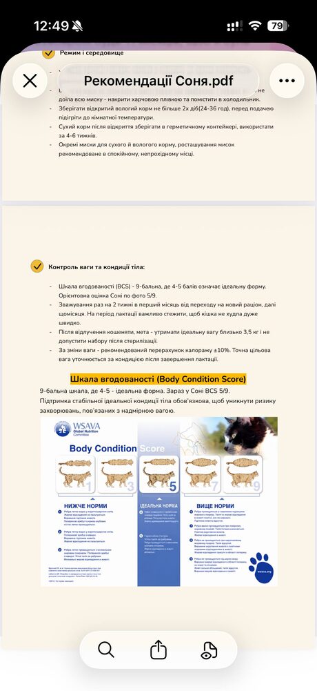 Скрін PDF рекомендацій: контроль ваги і кондиції