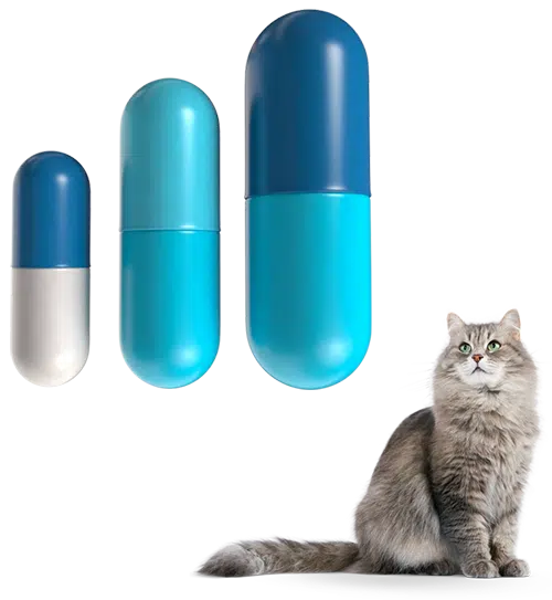 3.gatto 3 pillole