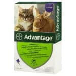 Адвантейдж (Advantage) від бліх для котів понад 4 кг, 4 піпетки