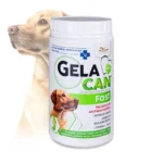 Гелакан Фаст (Gelacan Fast), 500 г