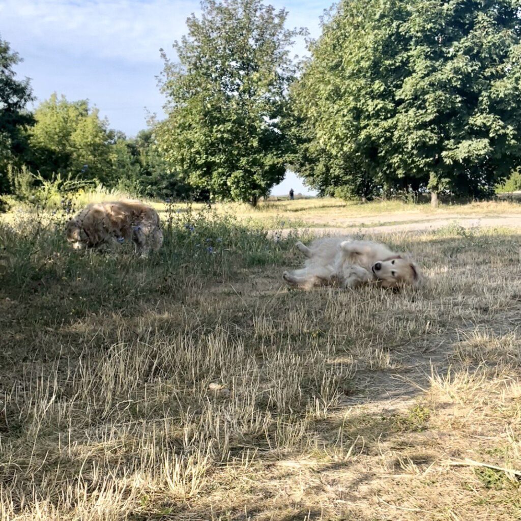 Зображення #1 від Ксенія Федірко