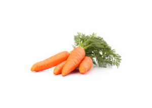 ingredient carrot 1 result