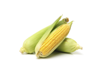 ingredient corn