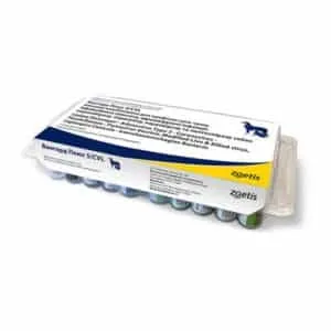 Вангард Плюс 5/CV-L (Vanguard Plus 5/CV-L) Zoetis вакцина для собак