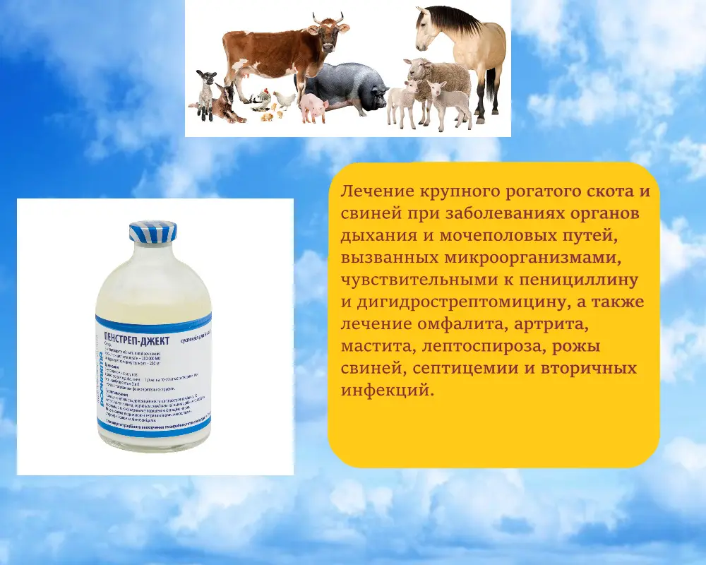 Без имени