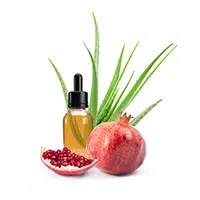 eudp3leaiwmms2jwk2zy