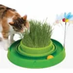 Іграшка Catit ігровий трек пластиковий для котів