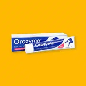 Догляд за зубами котів