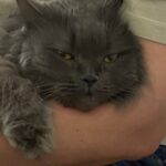 Фото з відгуку