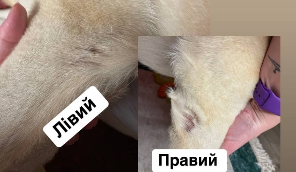 Зображення #1 від Катерина Клецко