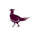 pheasant