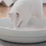 Туалеты