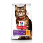 Сухий корм для котів Hill's Adult Sensitive Stomach & Skin з куркою