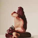 Сухий корм для дорослих собак усіх порід Carnilove Duck & Pheasant з качкою та фазаном 1 duck amigovet
