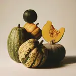 pumpkin amigovet