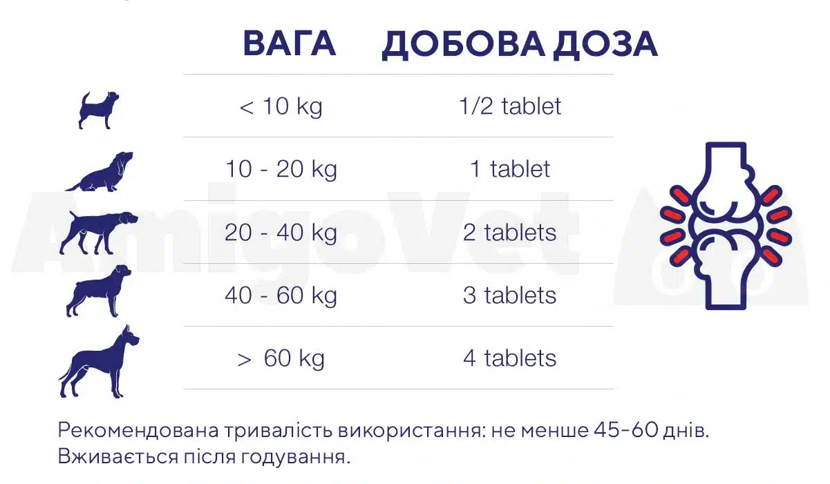 АктиВЕТ для собак / FOR LARGE Joints & Bones (GIGI) - хондропротектор для собак 2 gigi large j b n tabl amigovet