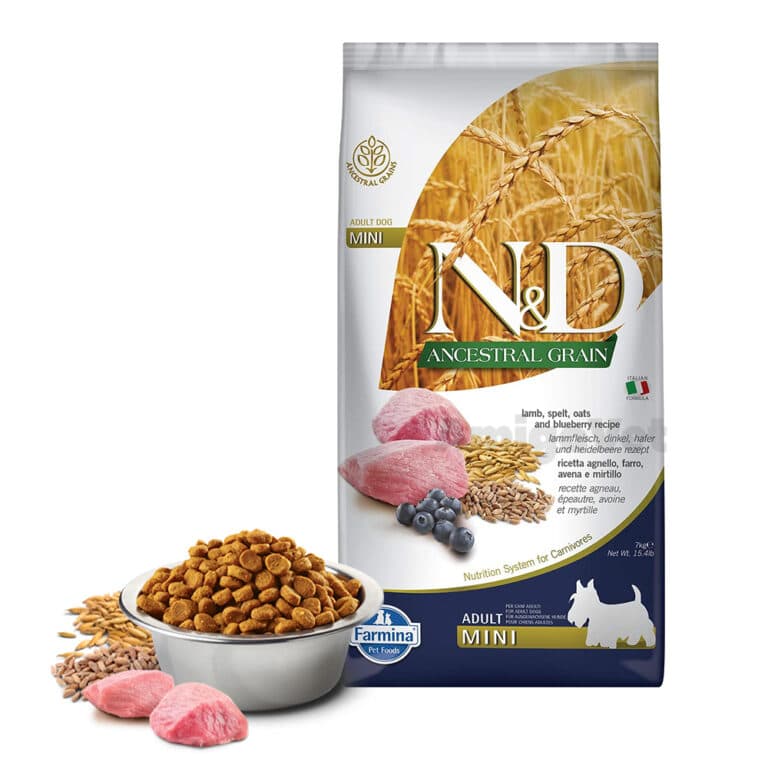 Сухий корм для дорослих собак малих порід Farmina N&D Low Grain Adult Mini з ягням і чорницею