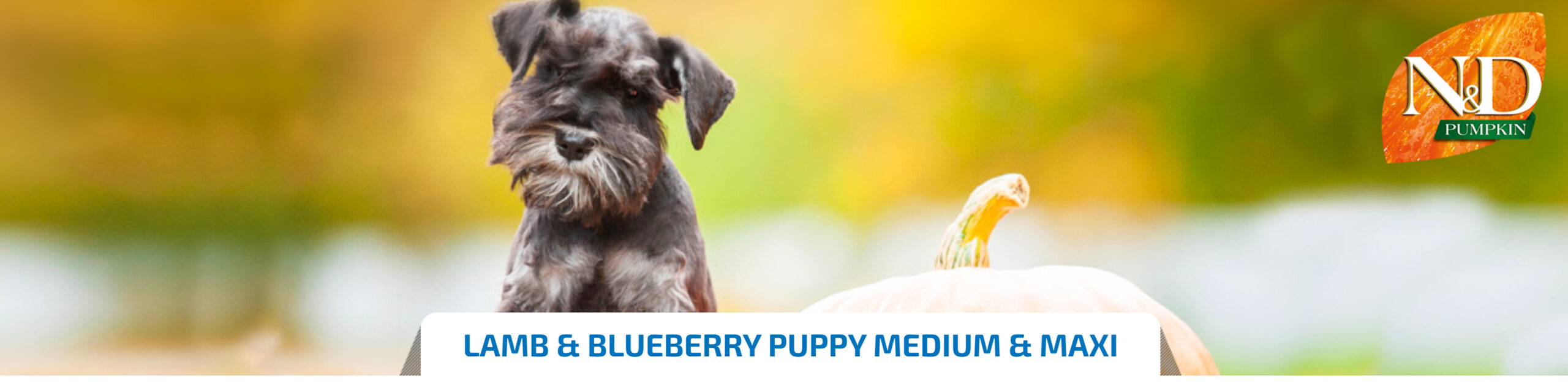 lamb blueberry puppy medium maxi long scaled