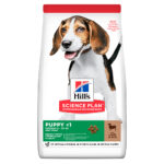 Hill's Puppy Medium Сухий Корм ​​для Щенят з Ягнятком і Рисом