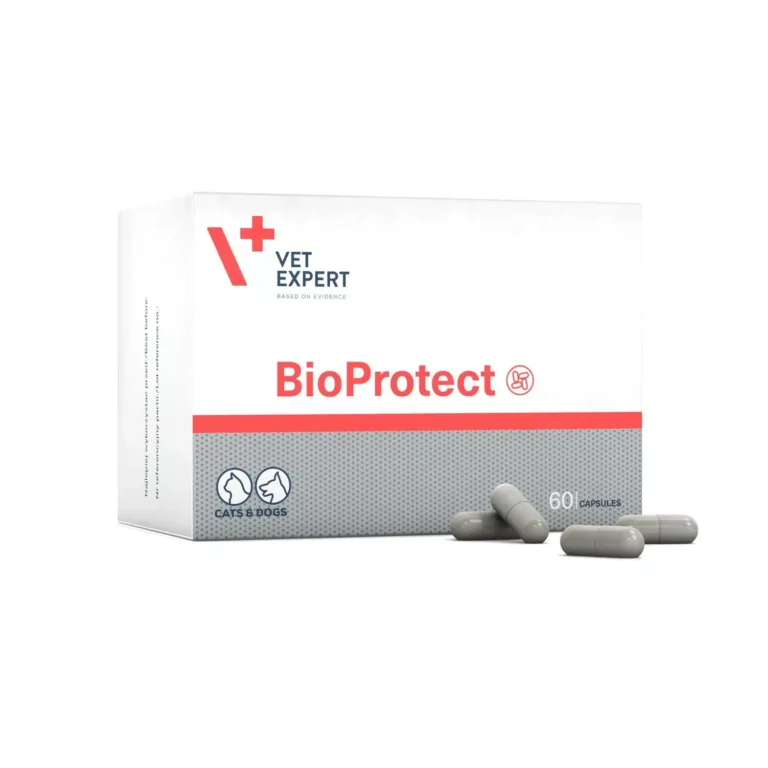 Vet Expert BioProtect (БіоПротект) Харчова добавка для котів і собак із порушеною шлунково-кишковою мікрофлорою, 60 капс.