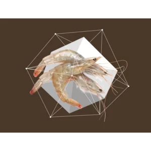 2220x1680px npls krill740 560fit amigovet