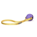 Іграшка для собак MISOKO&CO М'яч із ременем, purple, 30x5 cm