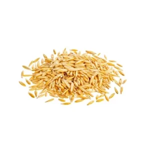 barley391 240resizebg amigovet