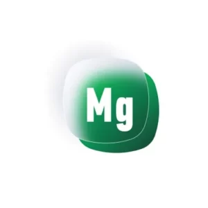 magnese391 240resizebg amigovet