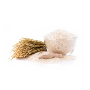 rice391 240resizebg amigovet