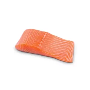 salmon391 240resizebg amigovet