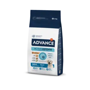Сухий корм Advance Dog Maxi Adult з куркою для дорослих собак великих порід