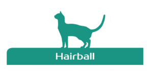 hairball 1