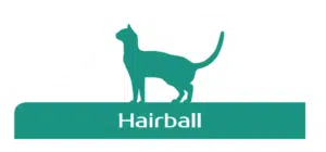 hairball 1