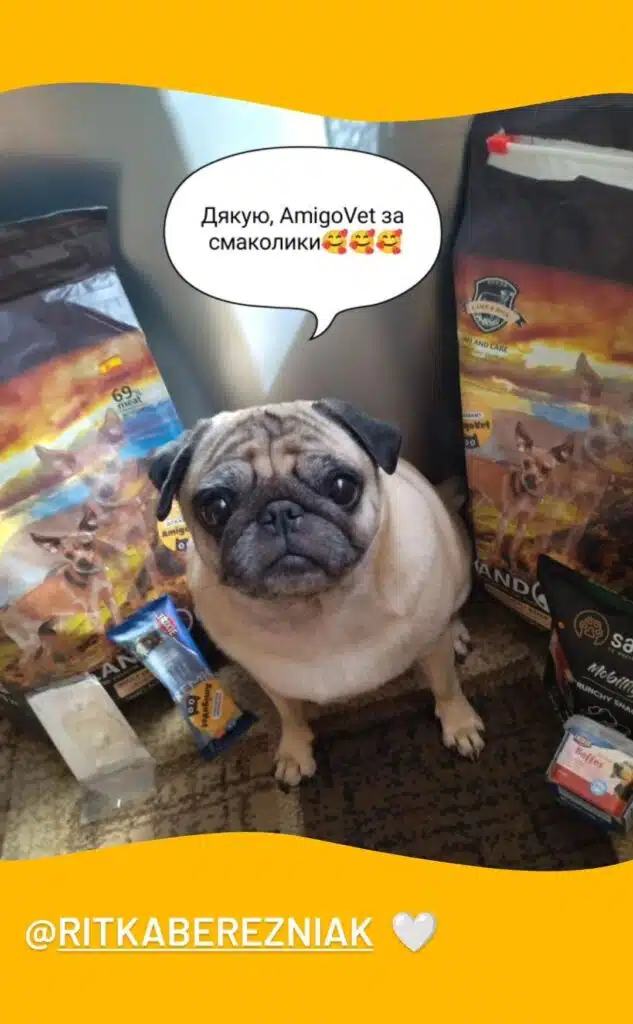 Зображення #1 від AmigoVet 🐈‍⬛
