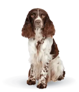 largeimage 5