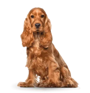 largeimage 6