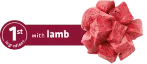 mediumimage 6