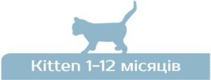 monge cat monoprotein kitten z forellyu