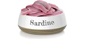 sardine