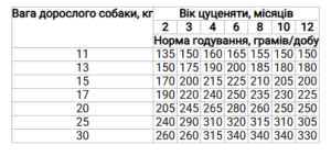 znimok ekrana 2025 02 08 143709