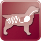 65 49 icons gastrointestinal canine png 2