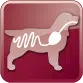 65 49 icons gastrointestinal canine png 2