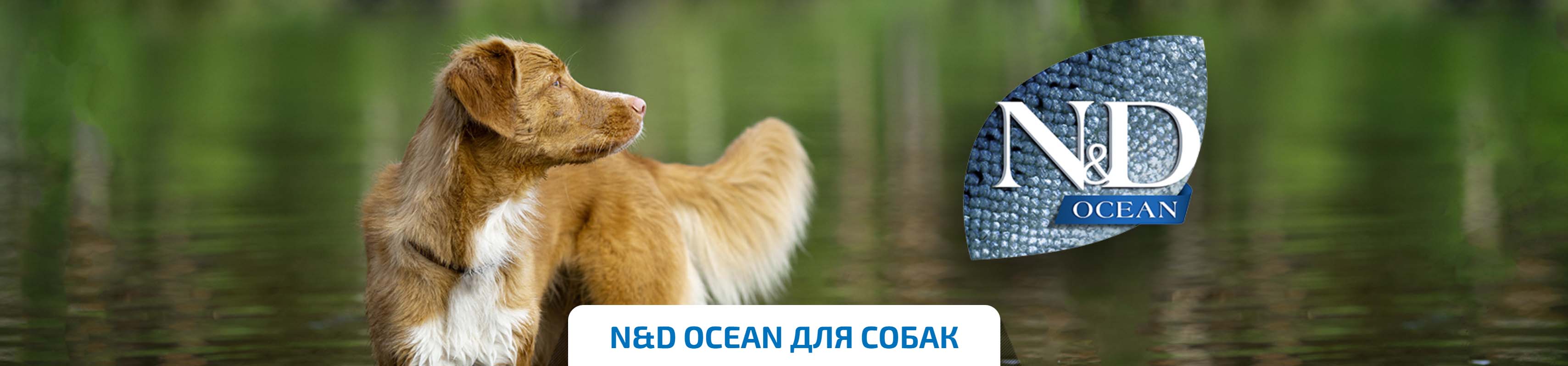 Беззерновий корм для собак малих порід Farmina N&D Ocean з тріскою та апельстном
