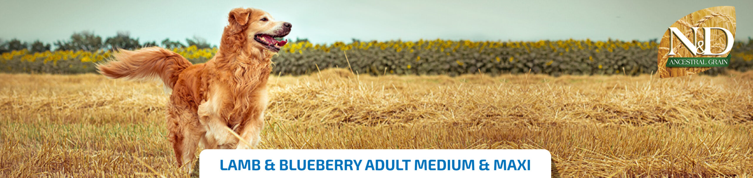 lamb blueberry adult medium maxi long scaled