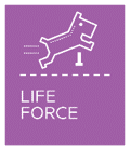 mini adult life