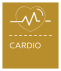 weight control cardio