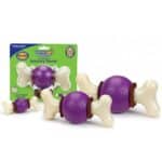 PetSafe БОУНСІ БОН (Bouncy Bone) суперміцна іграшка-ласощі для собак