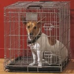 Savic Dog Residence САВІК ДОГ РЕЗИДЕНС клітка для собак, цинк